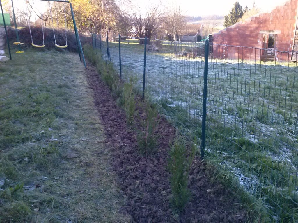 plantation d'arbres épinal