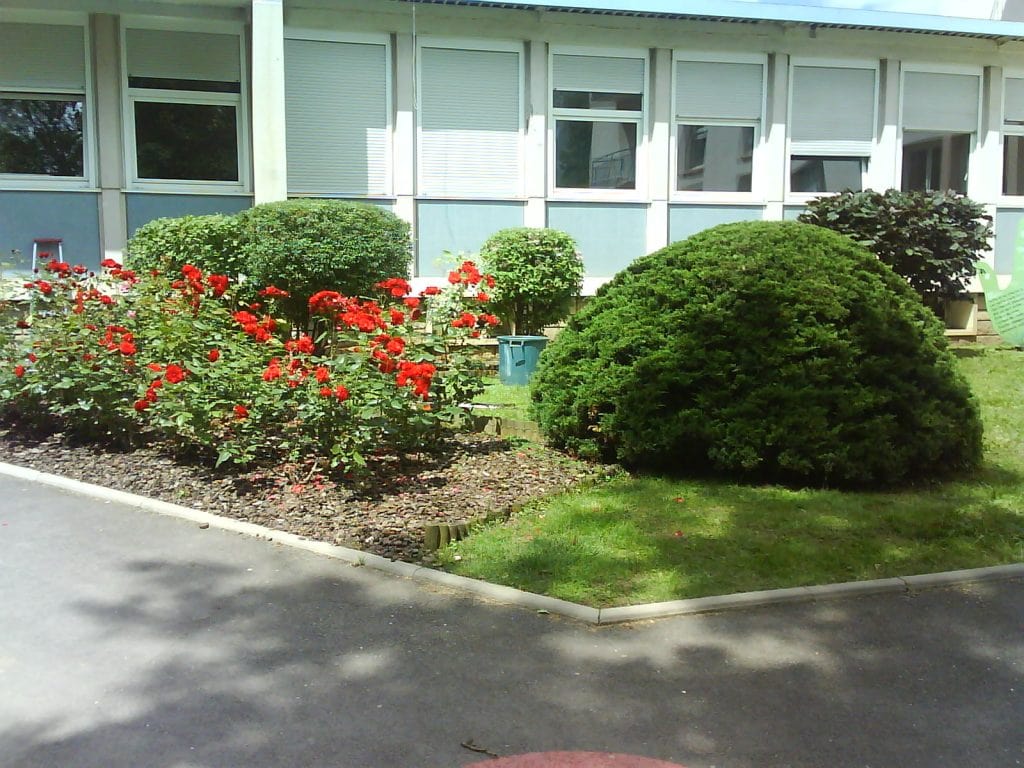 entretien plantes