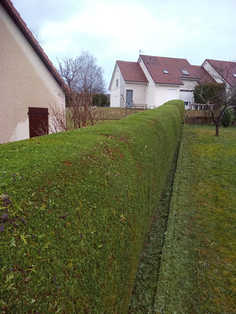 entretien jardin