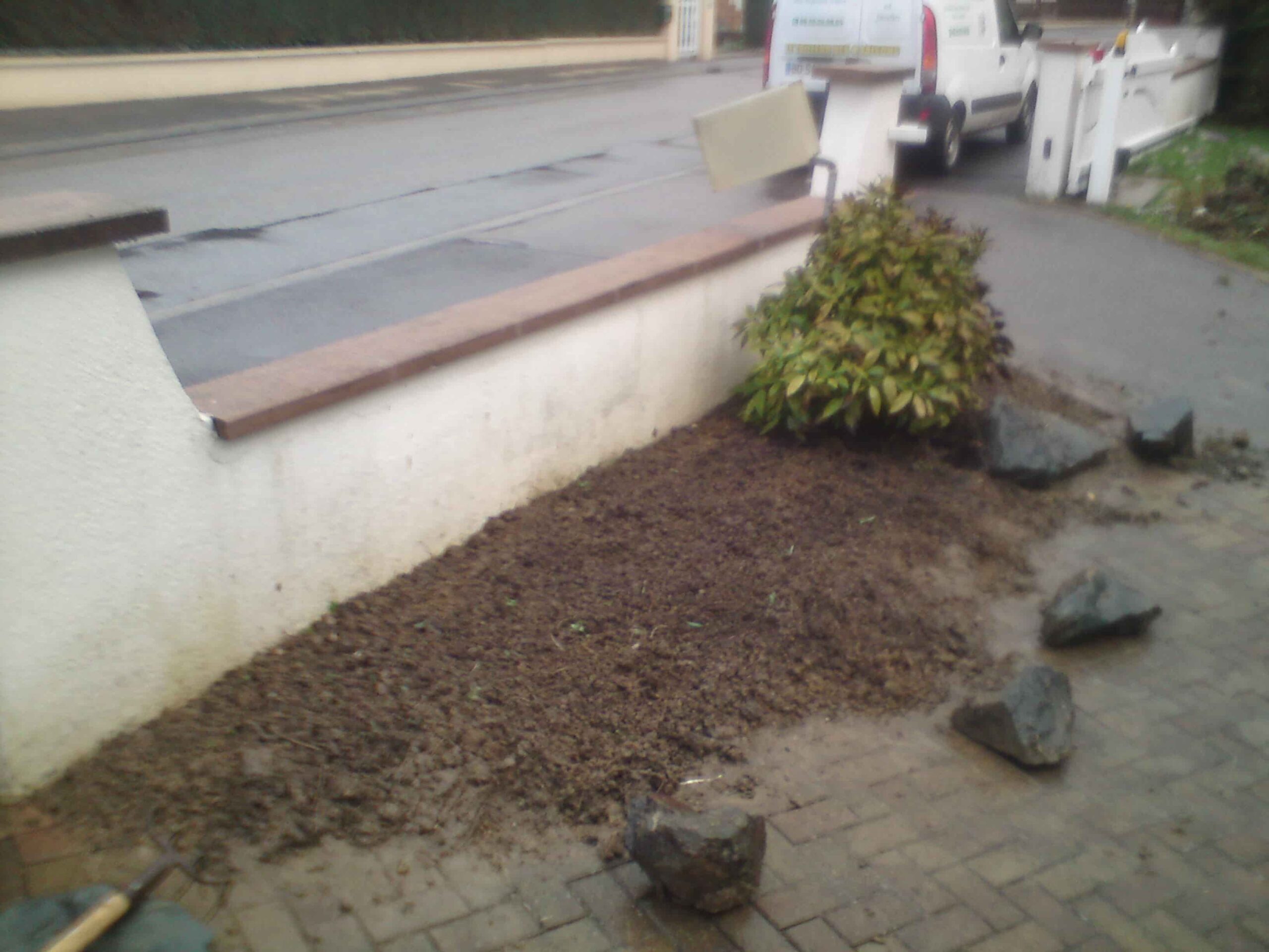 Plantation d'arbres