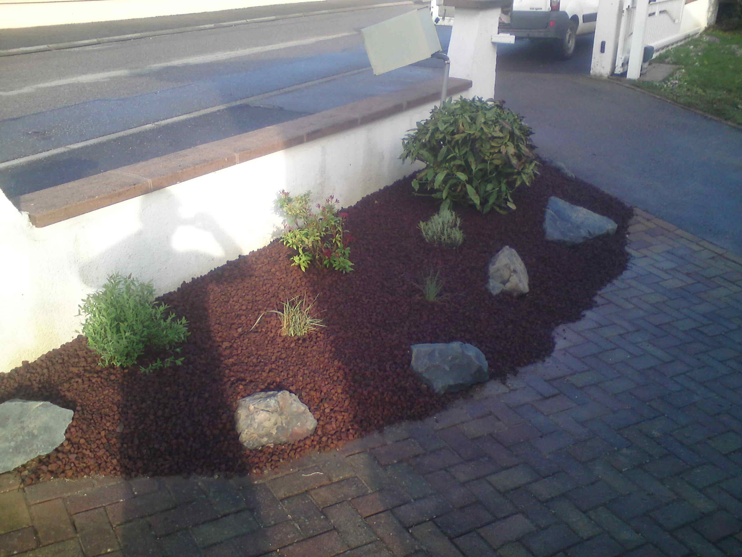 Plantation d'arbres
