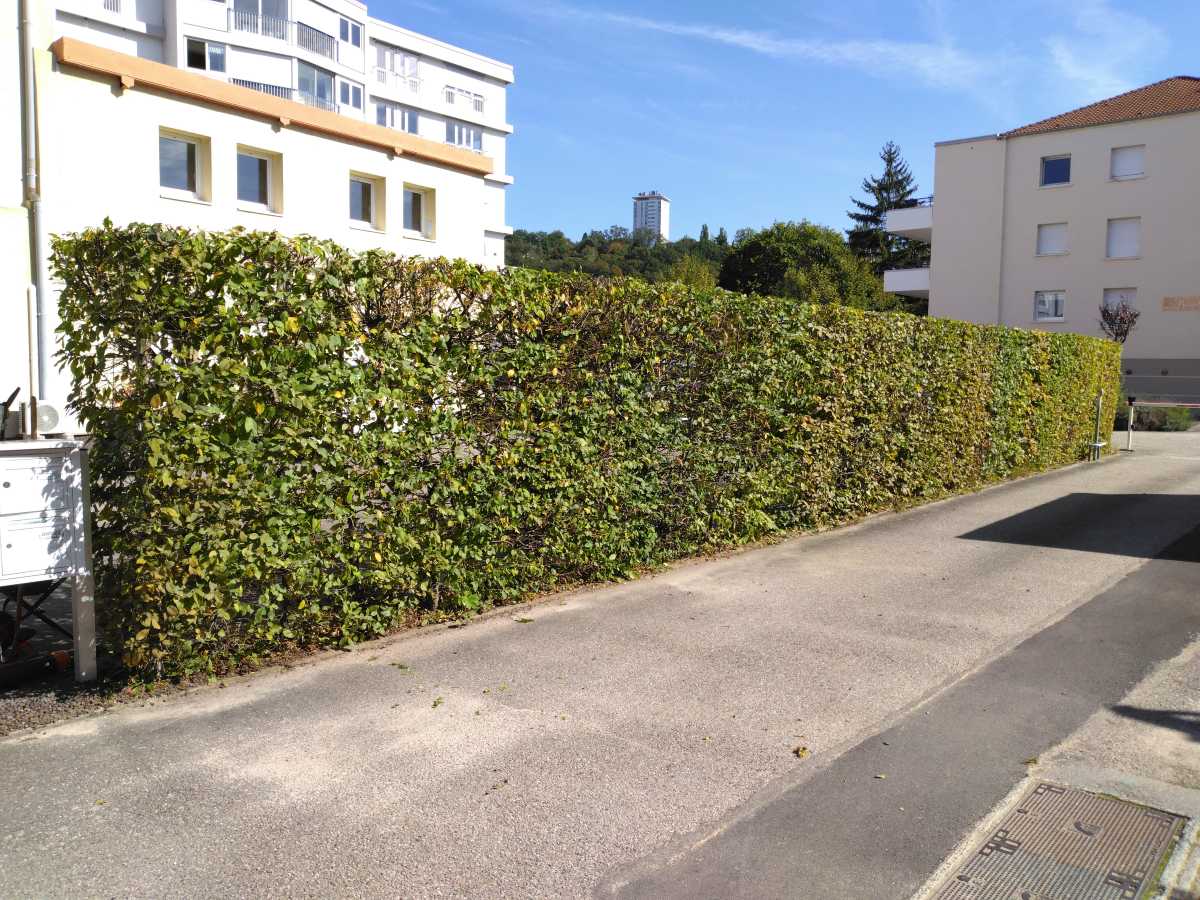 entretien résidences vosges