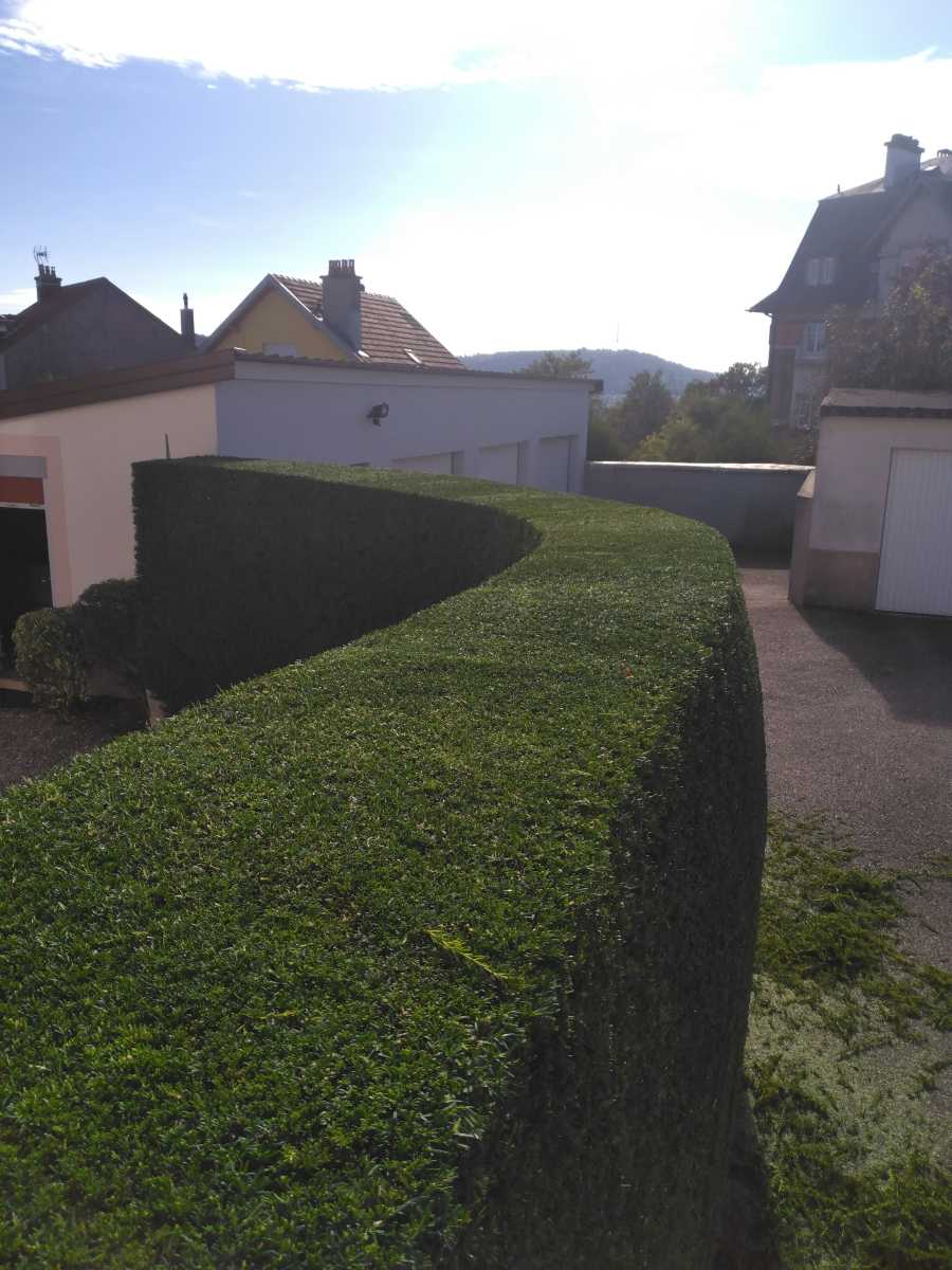 paysagiste pas cher vosges